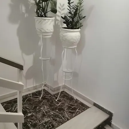 Apartment Dandelions Diakopto